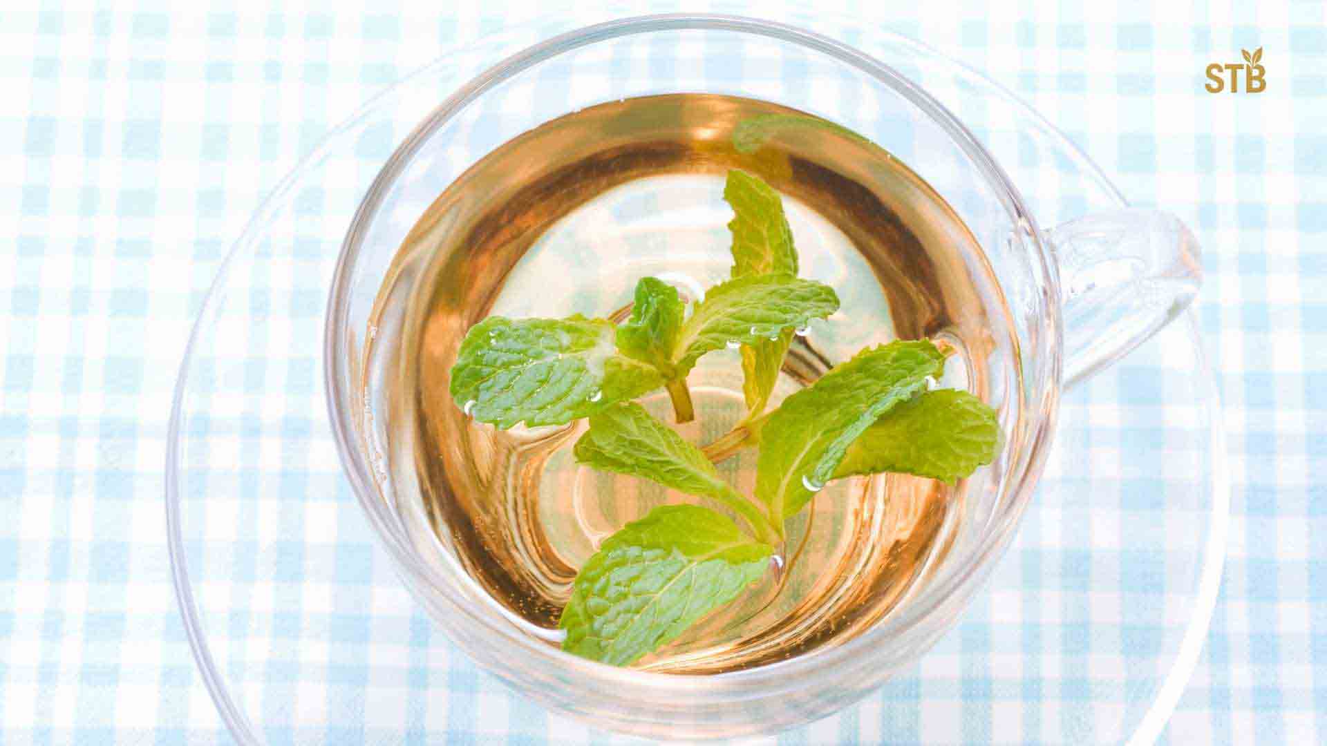 Spearmint Tea