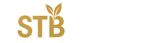STB Logo